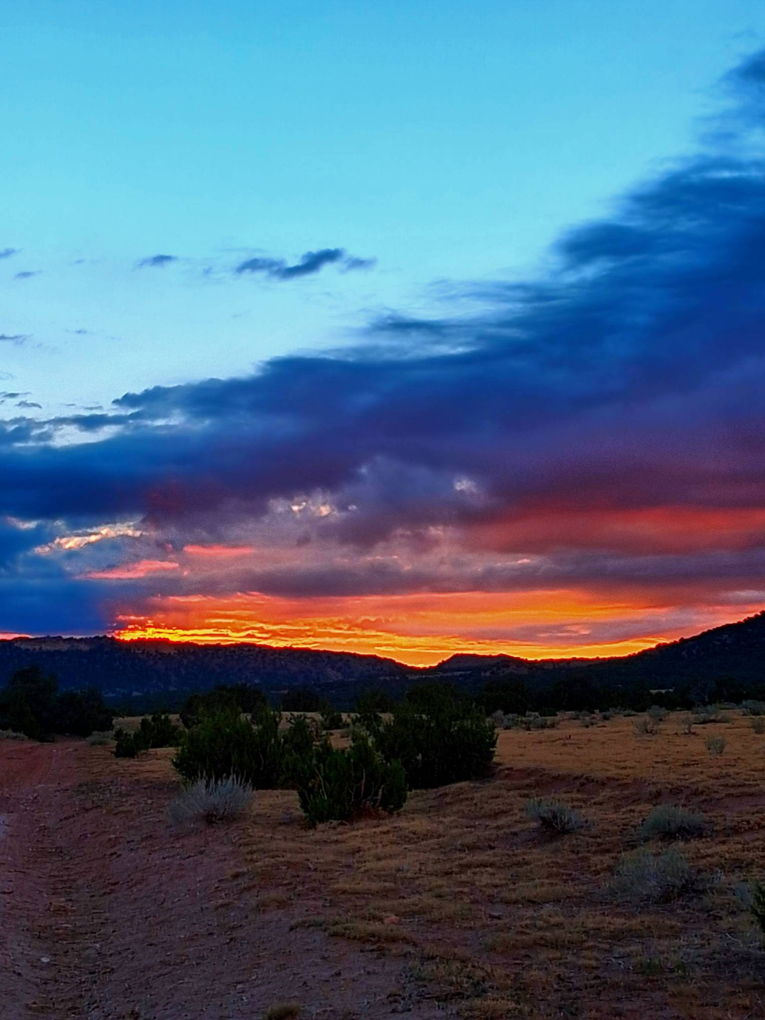 Beautifully colored sunset