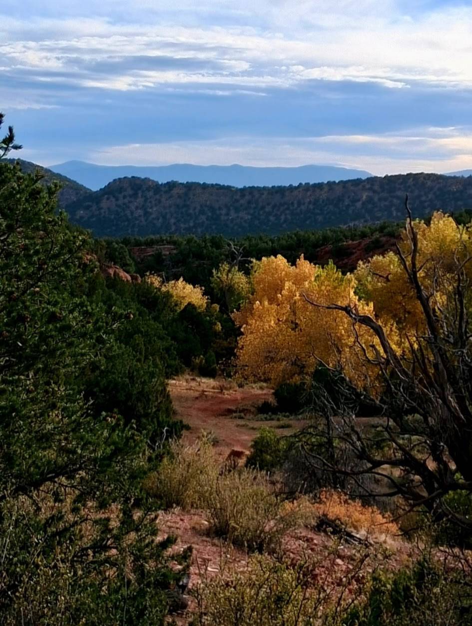 Beautiful fall colors